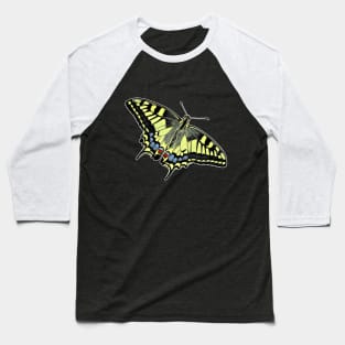 Swallowtail Butterfly Papilio machaon Baseball T-Shirt